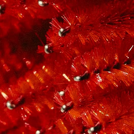 👑 Mega Cluster Baddie Bundle at Badgirrl Esthetics in Damascus, OR